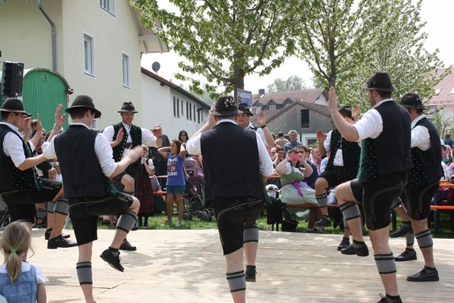 Maibaum 2013